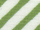 m019